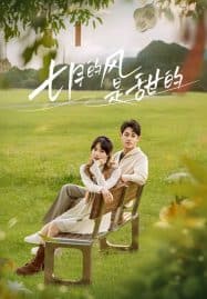 ดูซีรี่ย์ออนไลน์ฟรี Love Blossoms with the Wind (2025)