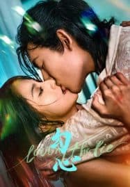 ดูซีรี่ย์ออนไลน์ฟรี Loving The Lie (2025) เล่ห์รักพรางใจ