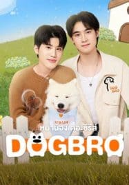 ดูซีรี่ย์ออนไลน์ฟรี DogBro (2025) หมาน้องเดอะซีรีส์