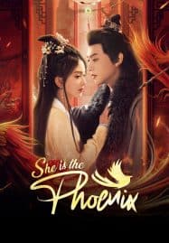 ดูซีรี่ย์ออนไลน์ฟรี She Is the Phoenix (2025) หงส์คืนฟ้า